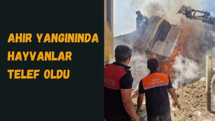 Ahır Yangınında Hayvanlar Telef Oldu