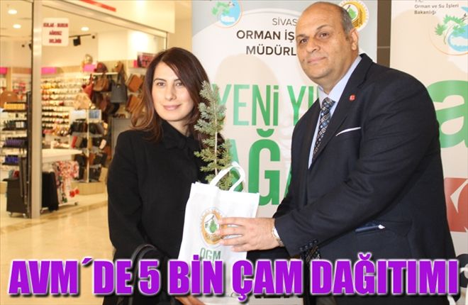 AVM´DE 5 BİN  ÇAM DAĞITIMI