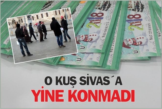 O KUŞ SİVAS´A YİNE KONMADI