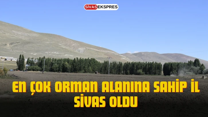 En Çok Orman Alanına Sahip İl Sivas Oldu