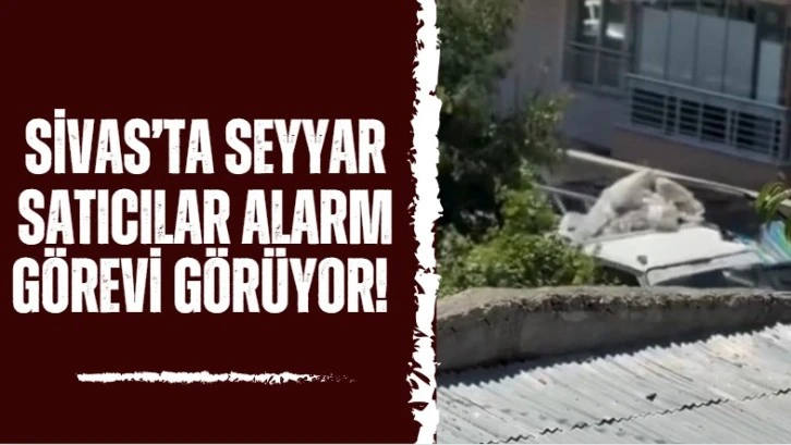 Sivas’ta Seyyar Satıcılar Alarm Görevi Görüyor!