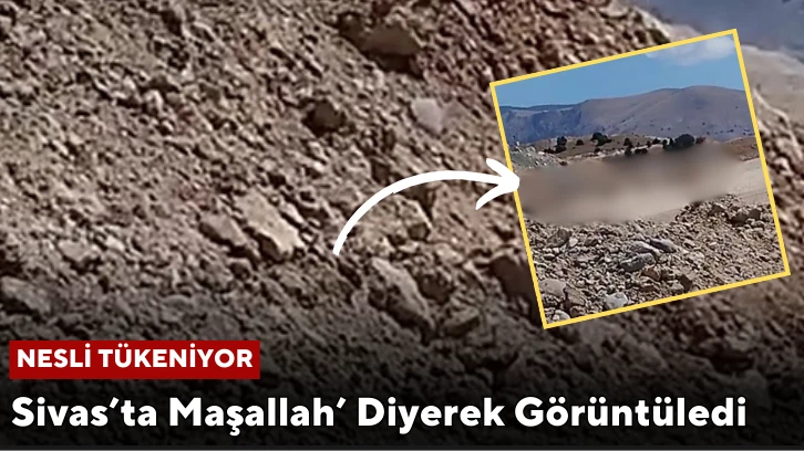 Nesli Tükeniyor! Sivas’ta Maşallah’ Diyerek Görüntüledi