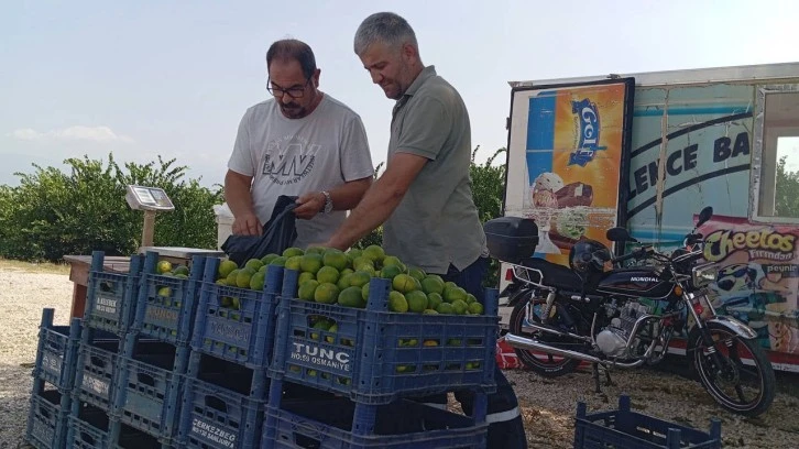 Üretici Sitem Ediyor! Dalında 7 markette 40 lira