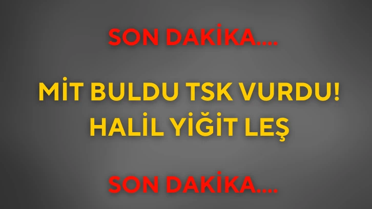 MİT Buldu TSK Vurdu! Halil Yiğit Leş