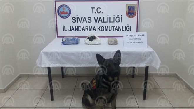 GÜRÜN´DE UYUŞTURUCU OPERASYONU