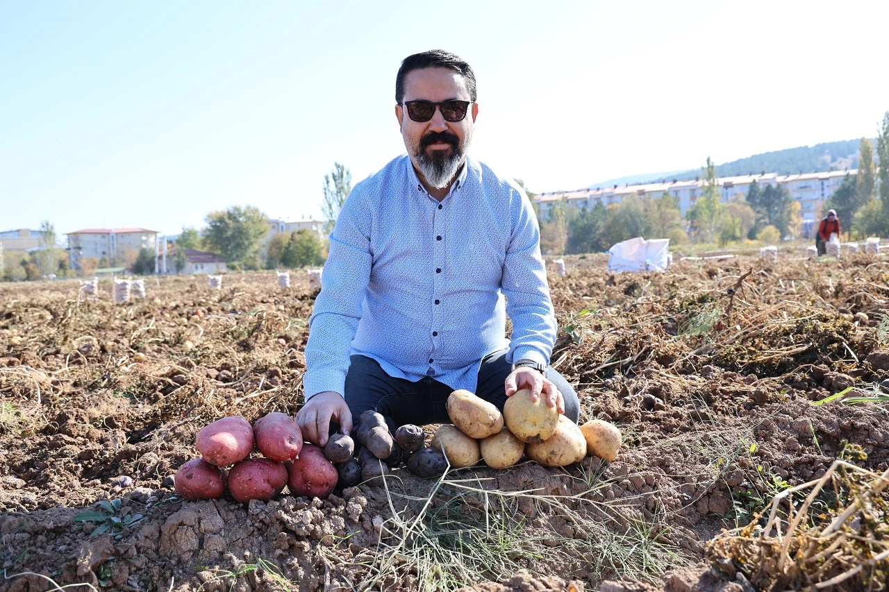 Sivas'ta Sağlığa Faydalı Rengarenk Hasat