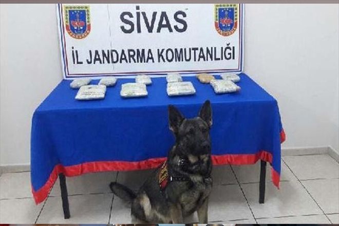 GÜRÜN´DE 7.5 KİLO ESRAR ELE GEÇİRİLDİ