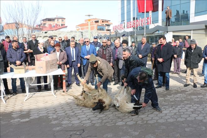 Kangal Belediyesi  KURBANLAR KESTİ  1071 BAYRAK DAĞITTI