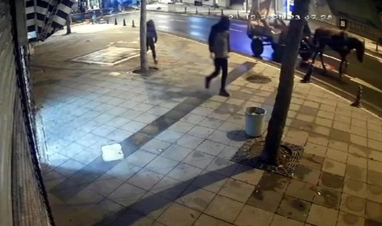 At arabasıyla mazgal hırsızlığı