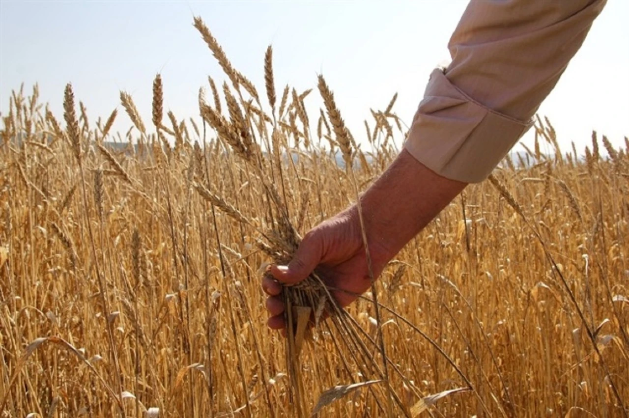 Sivas'ta Çiftçilere ÇKS Uyarısı