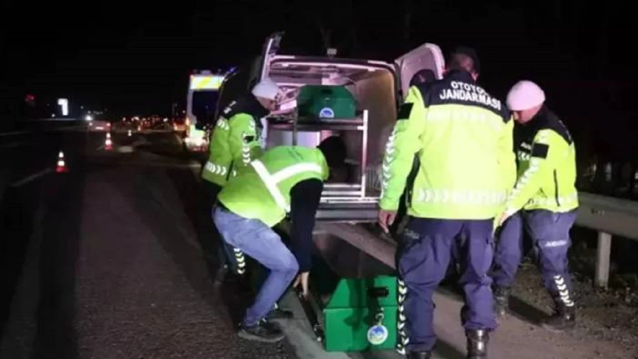 Araçlar defalarca çarpıp cesedini parçaladı