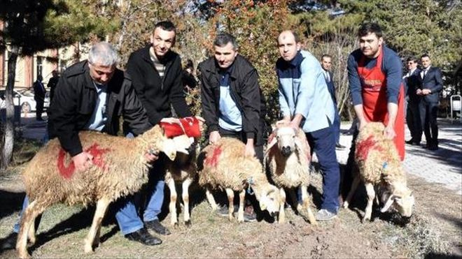 AFRİN´DEKİ GÜVENLİK GÜÇLERİ İÇİN KURBAN KESİLDİ