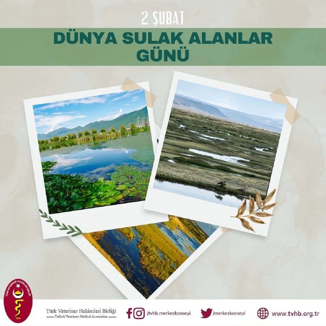 "Bu alanların korunması şarttır"