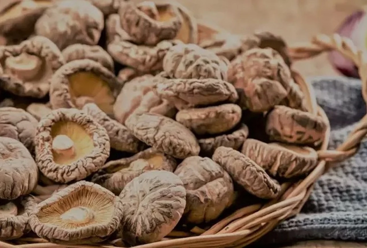 Bu mantarın tanesi 17 bin liradan satılıyor