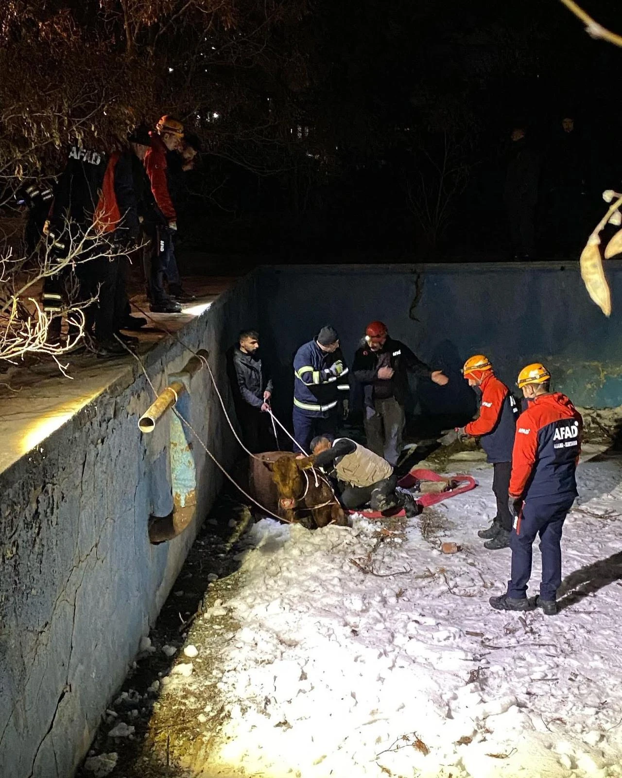 Sivas'ta İnek Kurtarma Operasyonu