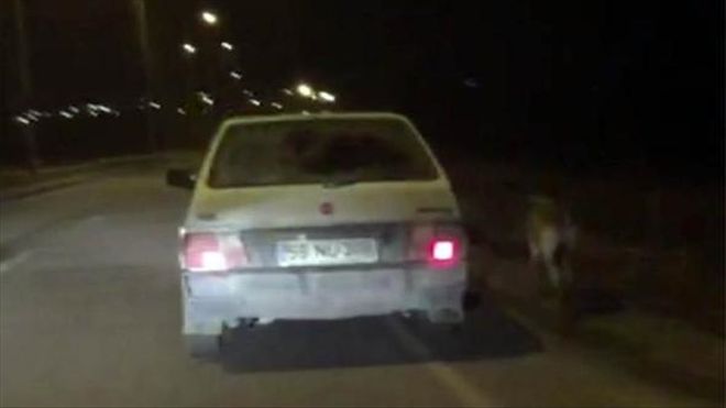 KÖPEĞİ OTOMOBİLİNE BAĞLAYIP KOŞTURDU