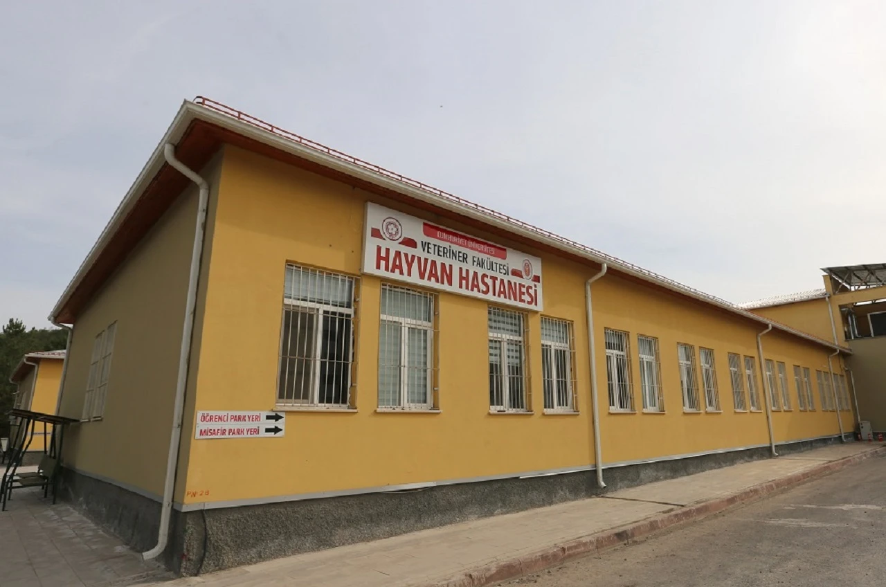 Sivas 9. Sırada Yer Aldı