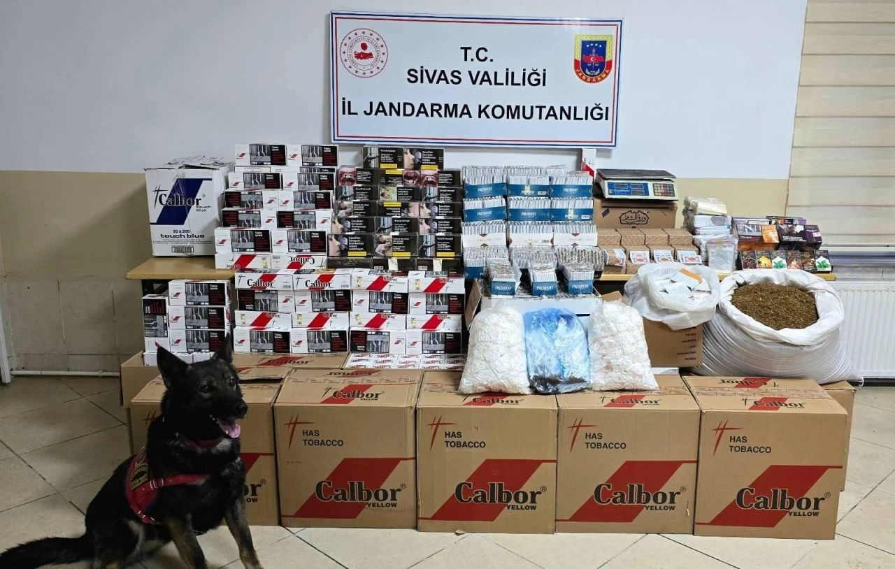 Sivas'ta Şubat Ayında 161 Bin 620 Makaron Ele Geçirildi