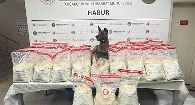 Gümrük Muhafaza ekiplerinden 2 ayda rekor