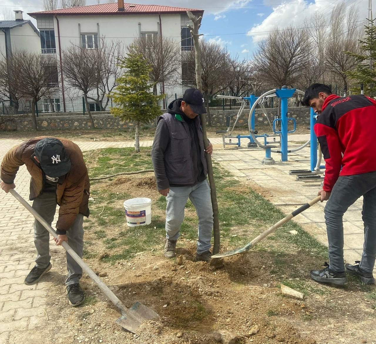 Tokat'tan Gönderildi Sivas'ta Dikildi