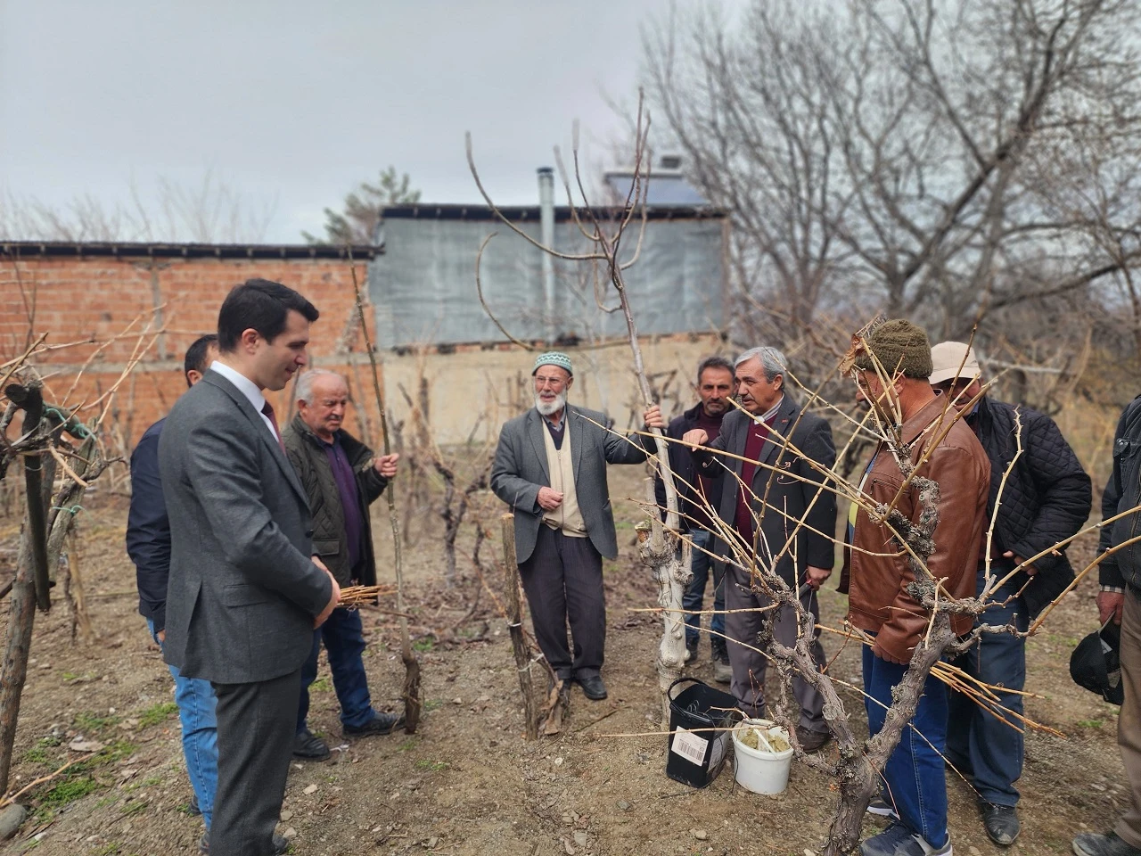 Çiftçilere ağaç budama eğitimi verildi