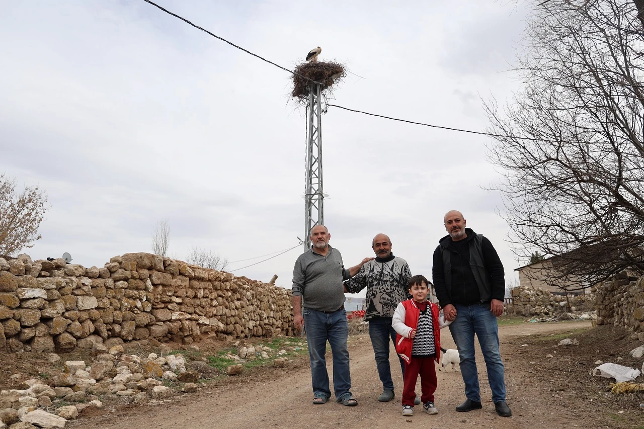 Sivas’ın ‘Leylekli Köyü’ Misafirlerine Kavuştu