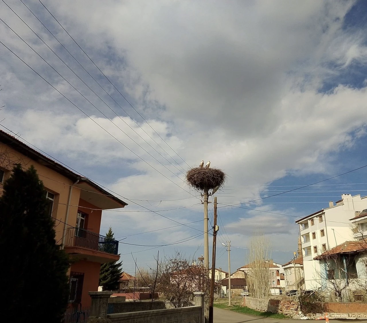 Sivas'ta Baharın Müjdeleri Yuvalarına Geldi