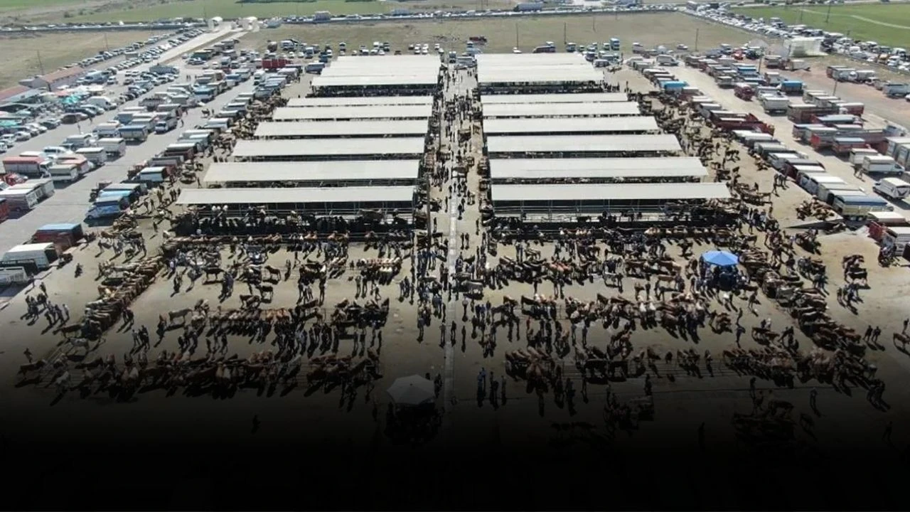 Sivas'ta Üreticiye Uyarı! Pazara Girişe İzin Verilmeyecek