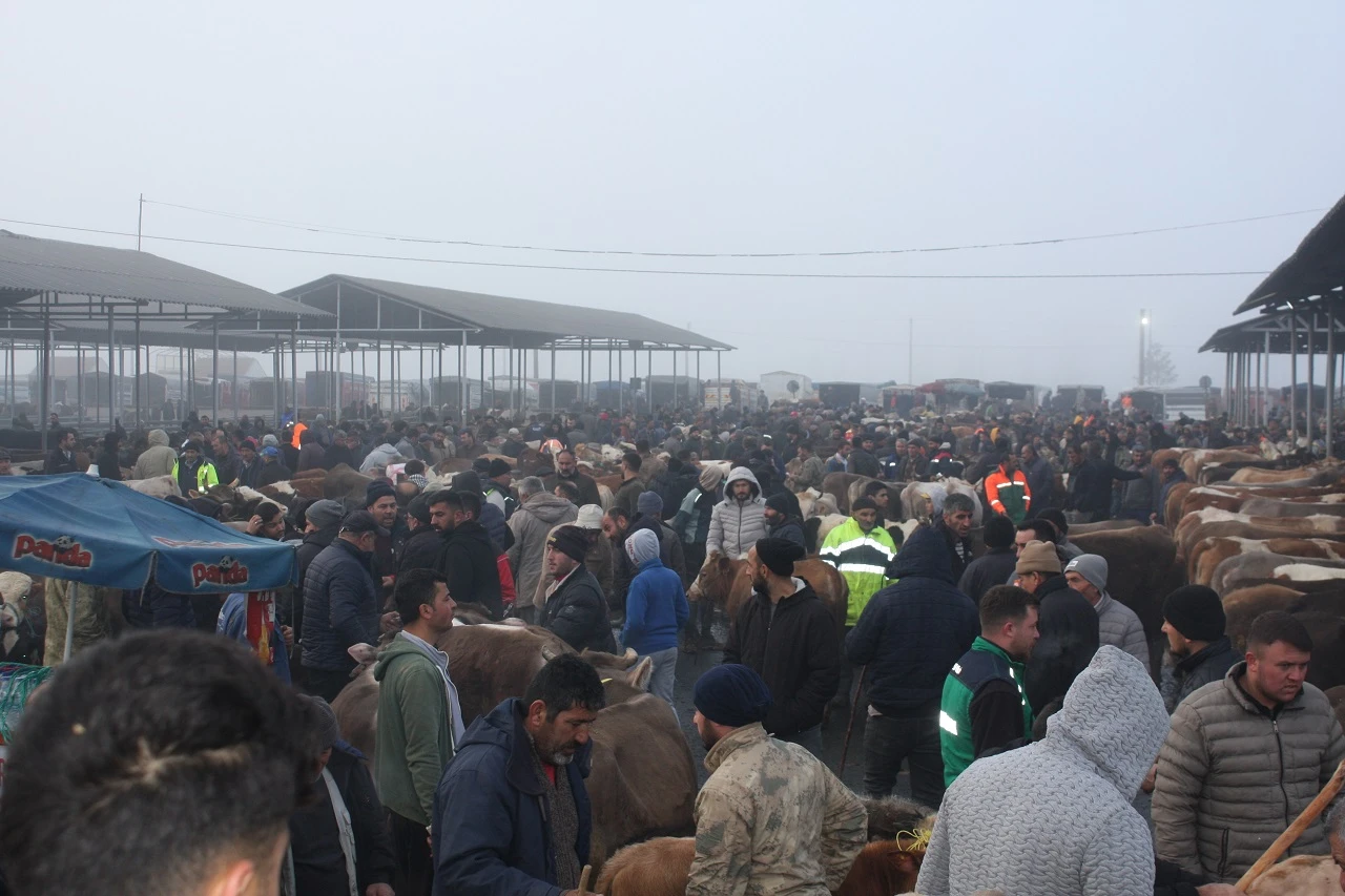 Şap Alarmından Sonra Yeniden Açılan Pazarda Yoğunluk