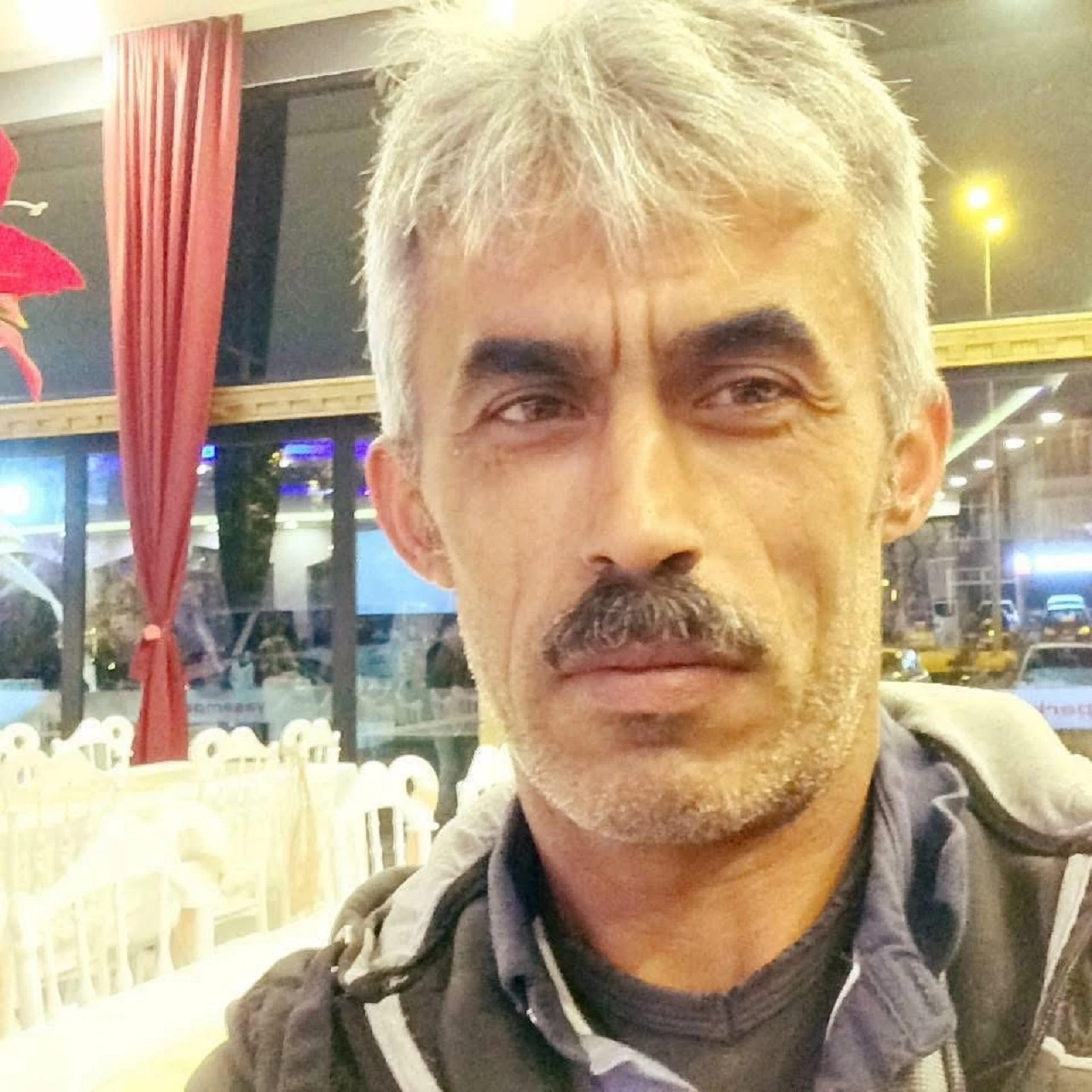 Başına dal düşen ağaç kesim işçisi öldü