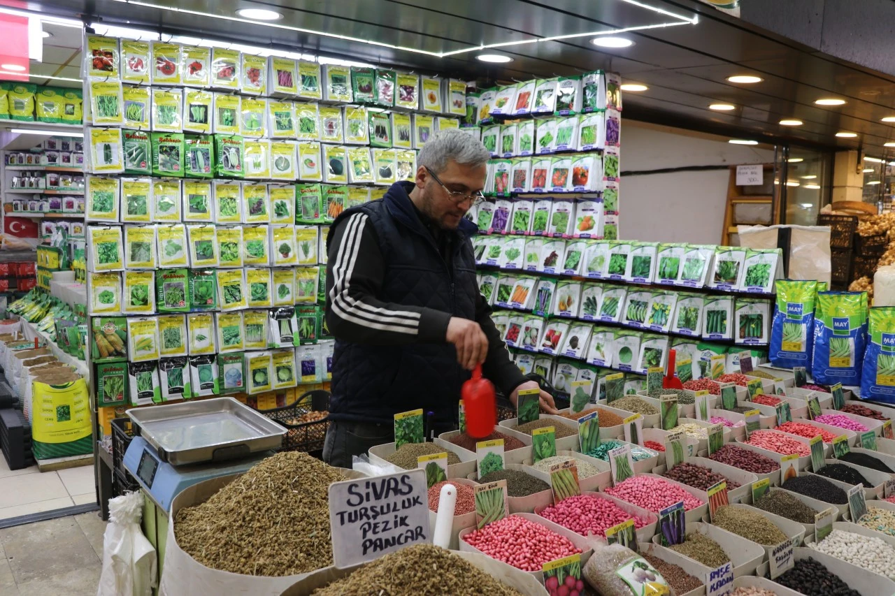 Sivas'ta Fide Ve Tohumlara İlgi Arttı