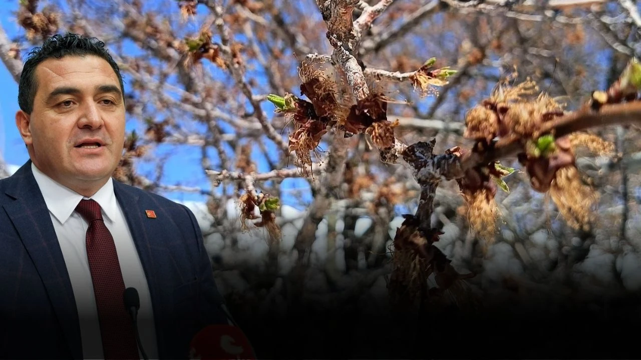 Yetkililere Çağrı! Don Felaketi Üreticileri Vurdu