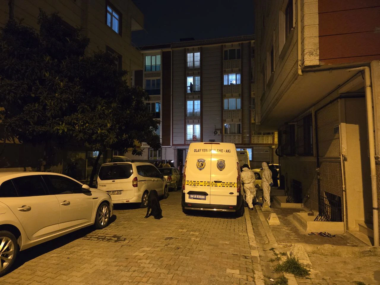 Kız arkadaşını yaralayıp, annesini öldürdü