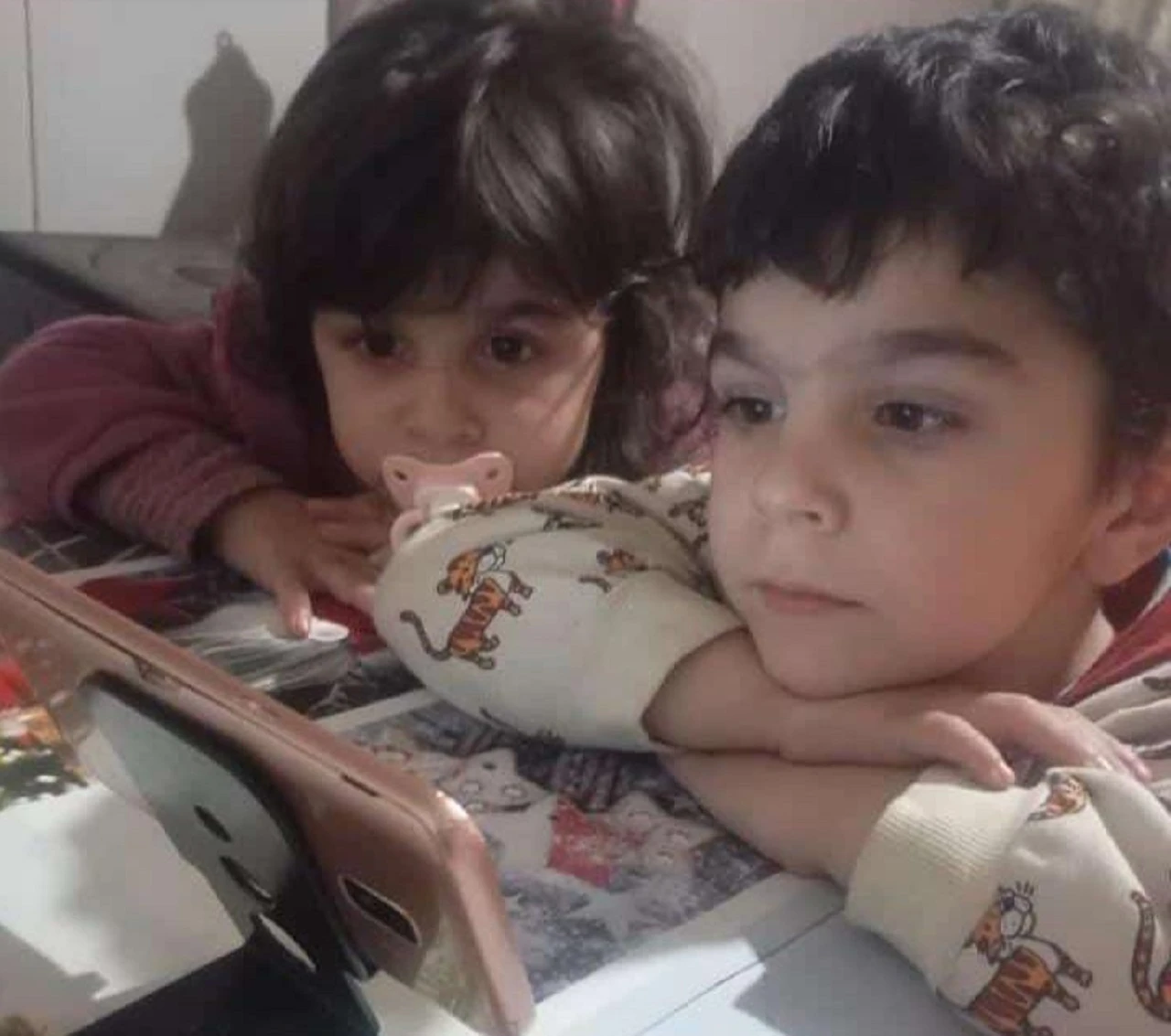 Yangında ölen 2 kardeş toprağa verildi