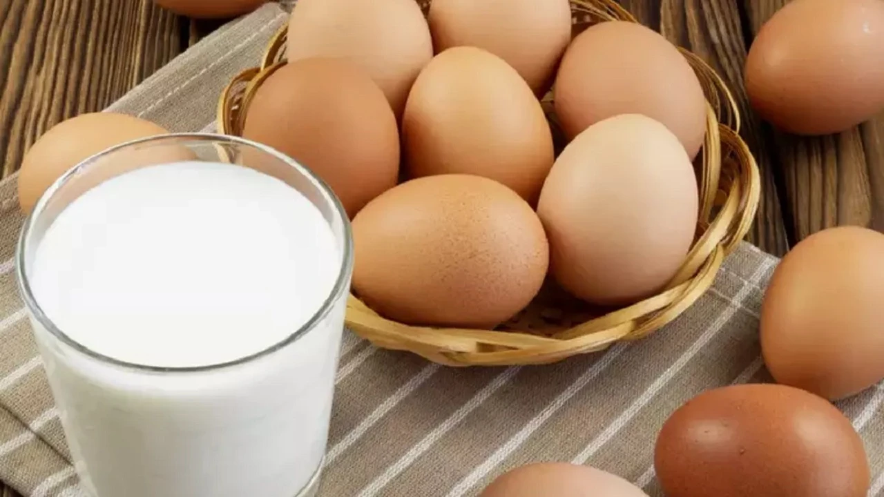 Tavuk eti, yumurta ve içme sütü üretimi şubatta azaldı