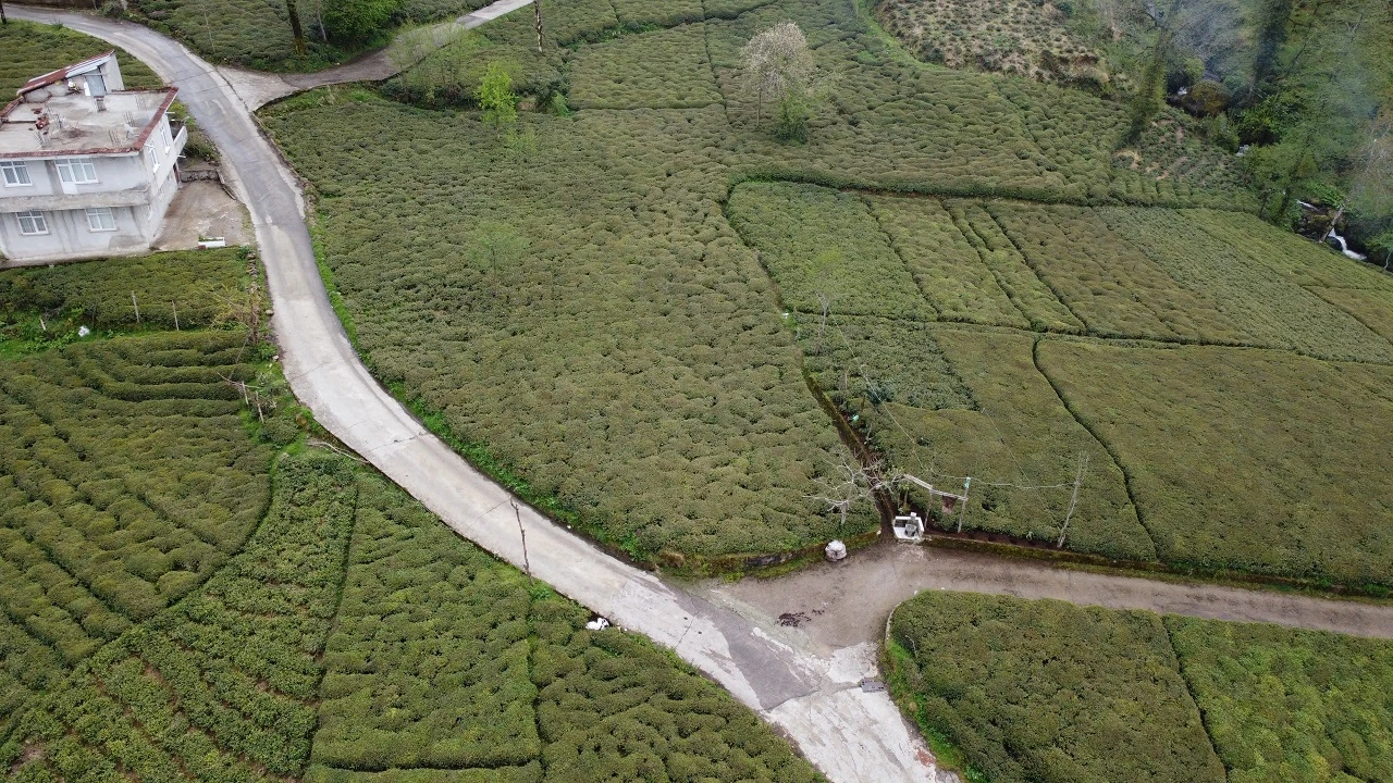 Zirai don çayı da etkiledi