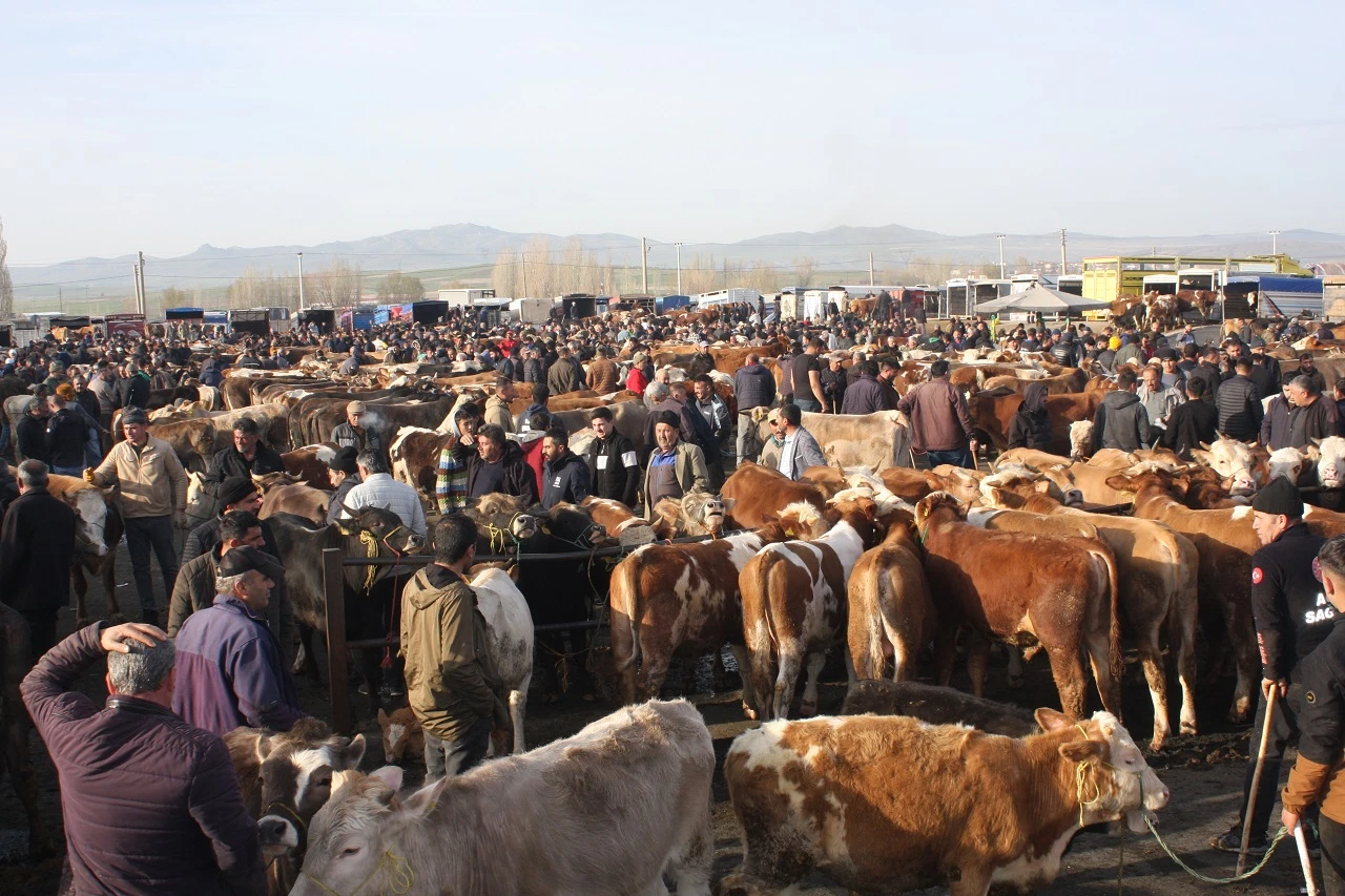 Kurban Bayramı Yaklaştı, Pazarda Hareketlilik Arttı