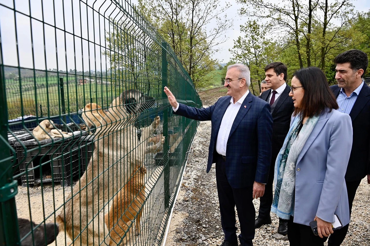 Sokak hayvanlarına 51 ilde doğal yaşam alanları