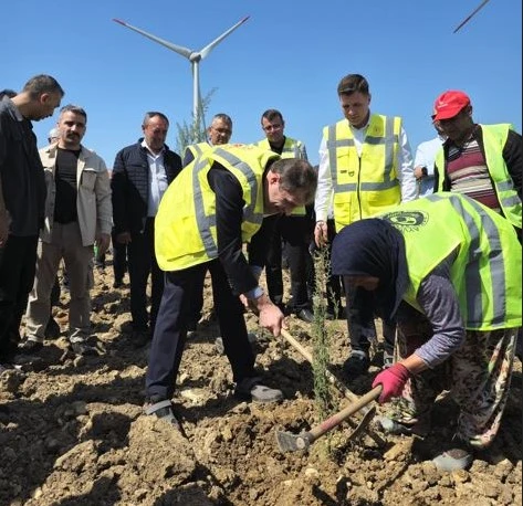 100 bin fidanla 'bakanlık' hatıra ormanı