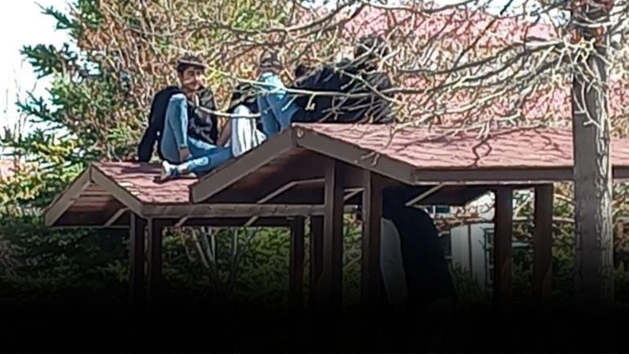 Siz Oraya Niye Çıktınız?