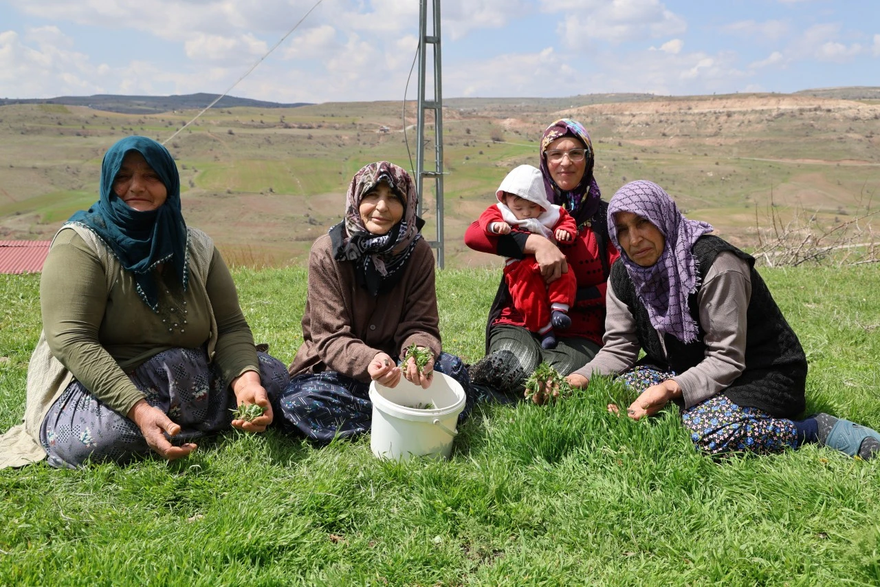 Sivas'ta Madımak Hasadı Başladı