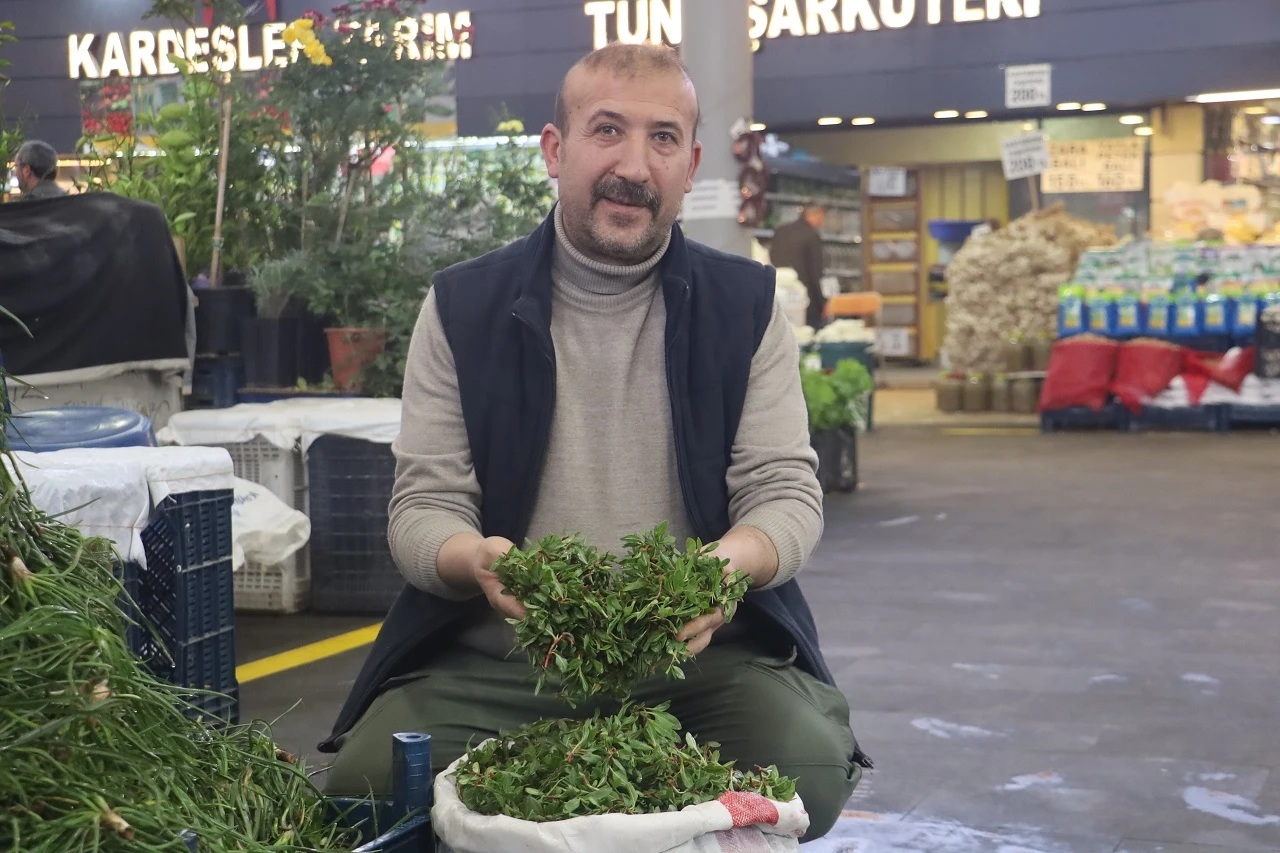 Sezon Açıldı, Tezgahlarda Yerini Aldı