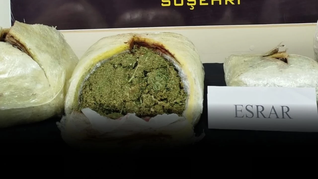 Sivas’ta Önemli Operasyon! Kilolarca Esrar Ele Geçirildi   
