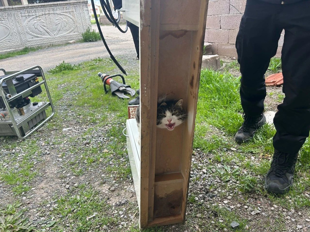 Kafası Dolaba Sıkışan Kedi Kurtarıldı