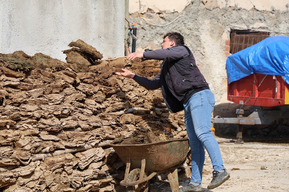Sivas'ın Yerli Ve Milli Yakıtı: "Tezek"
