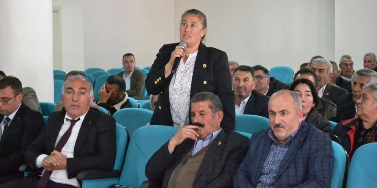 Sivas’ta Toplantı, Konu Kene