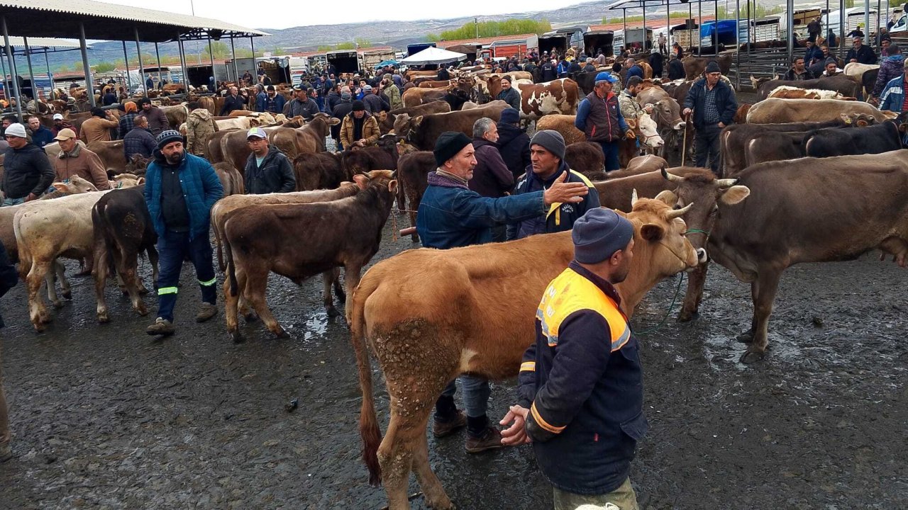 Hayvan Pazarı’nda Hareket Var, Kazanç Yok