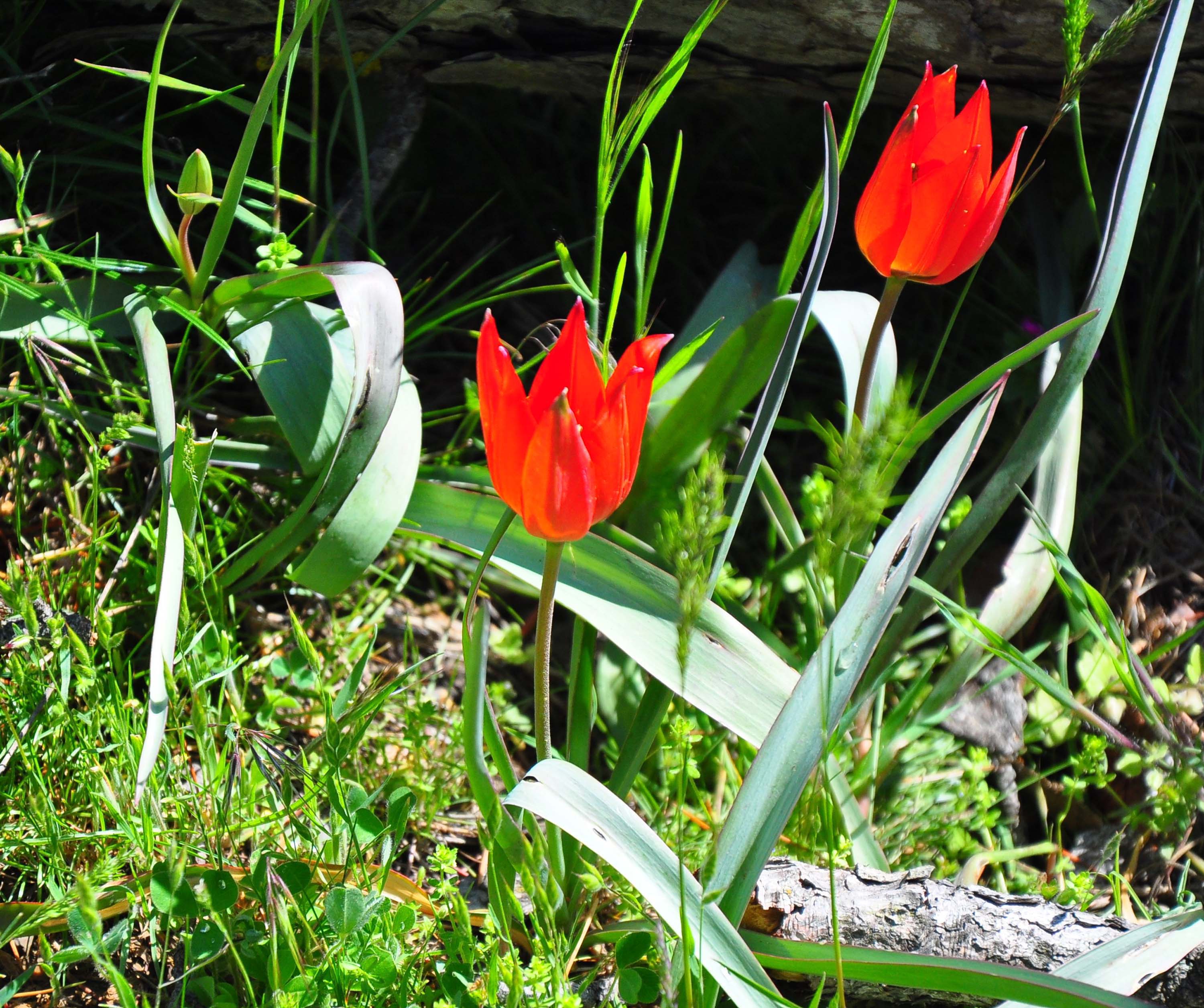 Bunu yapmanın cezası 557 bin TL!