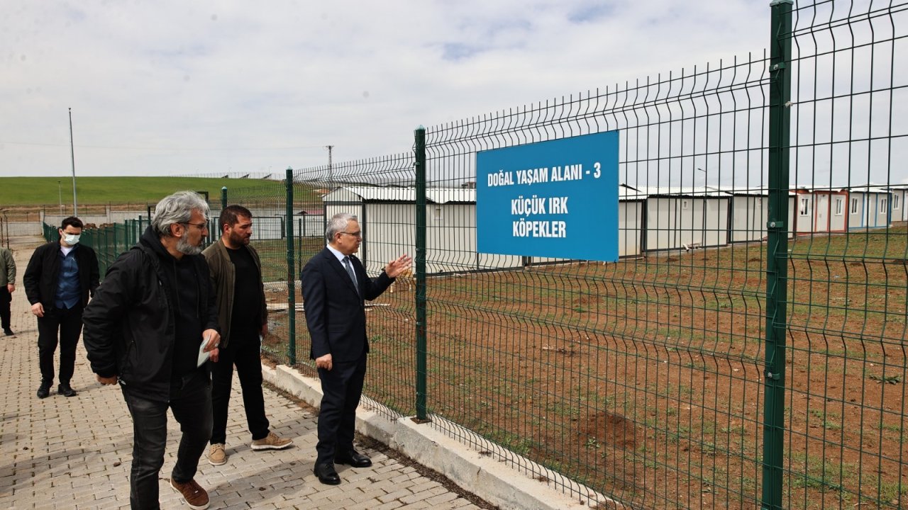 Sivas'ta Yeni Açılan Barınağa HAYTAP'tan Tam Not