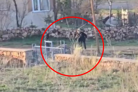 Sivas'ta Eşeğin Öldürülmesine HAYTAP’tan tepki